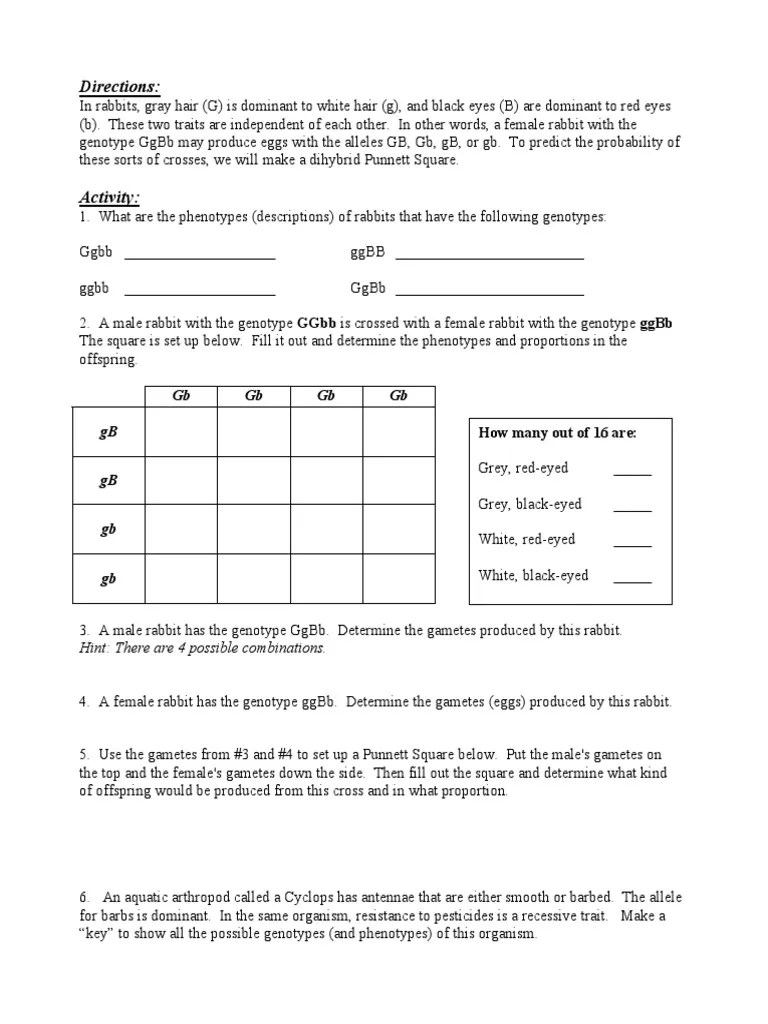 30++ Dihybrid Cross Practice Problems Worksheet Answer Key Pdf