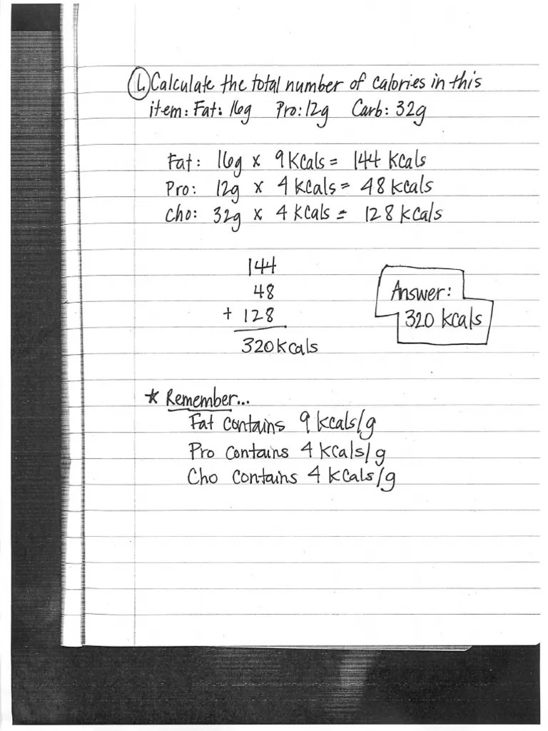 Ace Math Answers PDF