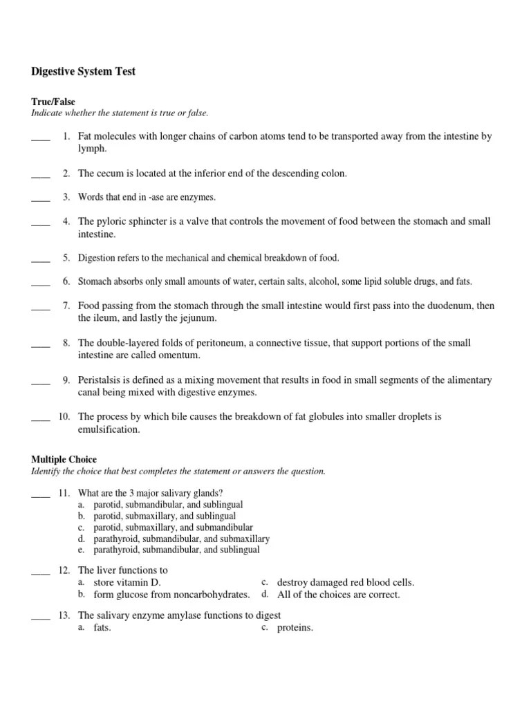 Digestive+System+Test Human Digestive System Digestion Free 30