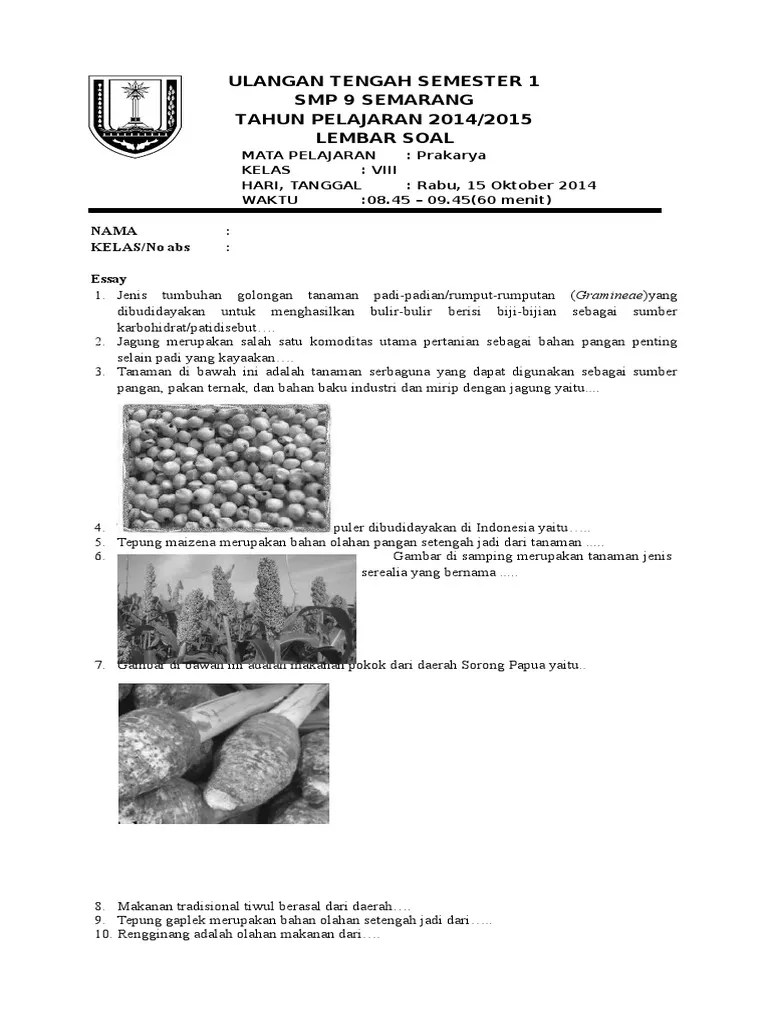 Jelaskan Olahan Bahan Pangan Setengah Jadi Sekilas Bahan