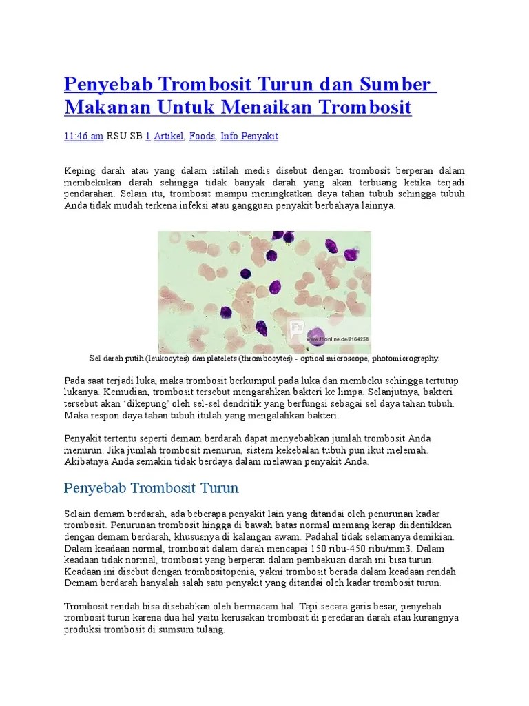 Trombosit Dan Penyakit Itp | PDF