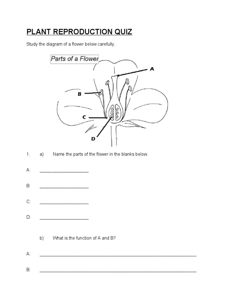 Plant Reproduction Quiz