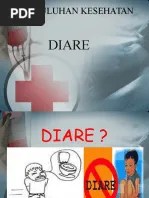 Penyuluhan Diare Puskesmas Bungah | PDF