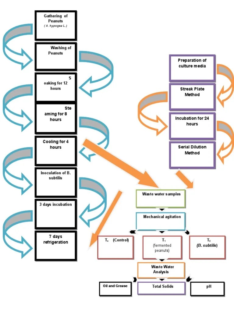 Preparation of Culture Media PDF