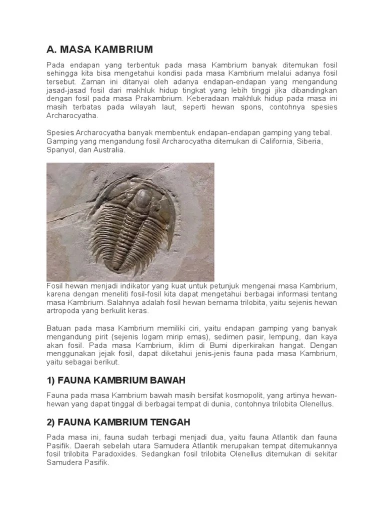 Masa Kambrium SD Perm | PDF
