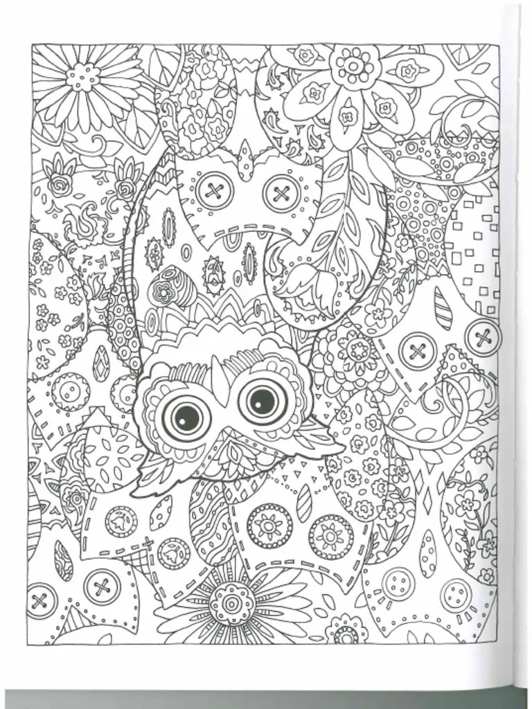 Felnőtt színező Baglyos