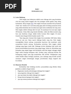 20 Makalah Bulu Tangkis Dan Gambarnya