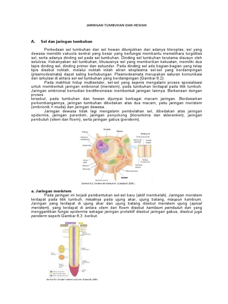 31+ Jurnal Jaringan Hewan Dan Tumbuhan Pdf Vol