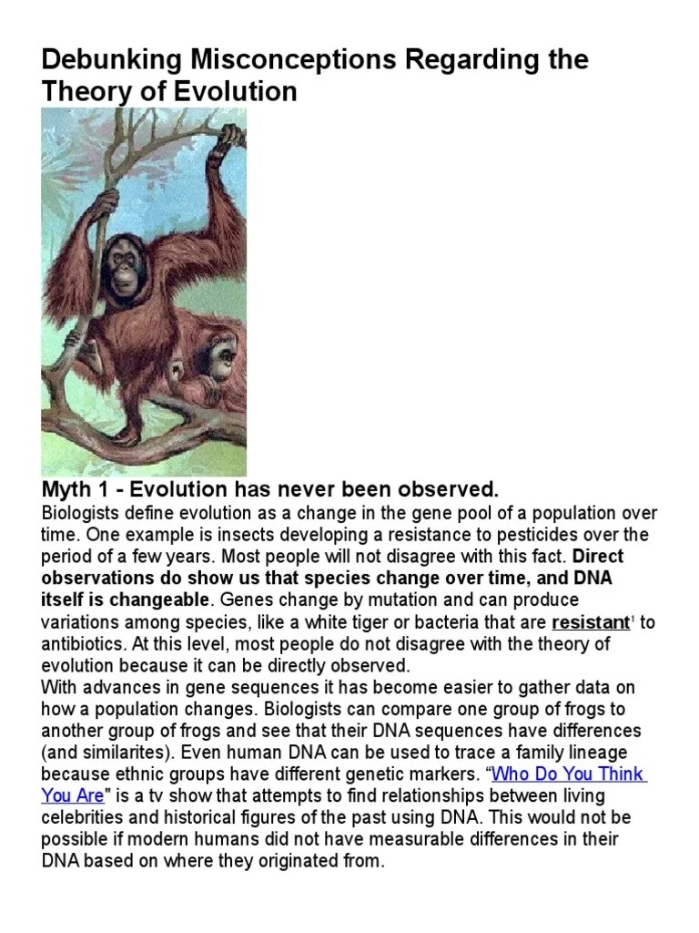 Debunking Misconceptions Regarding The Theory of Evolution PDF Evolution Organisms