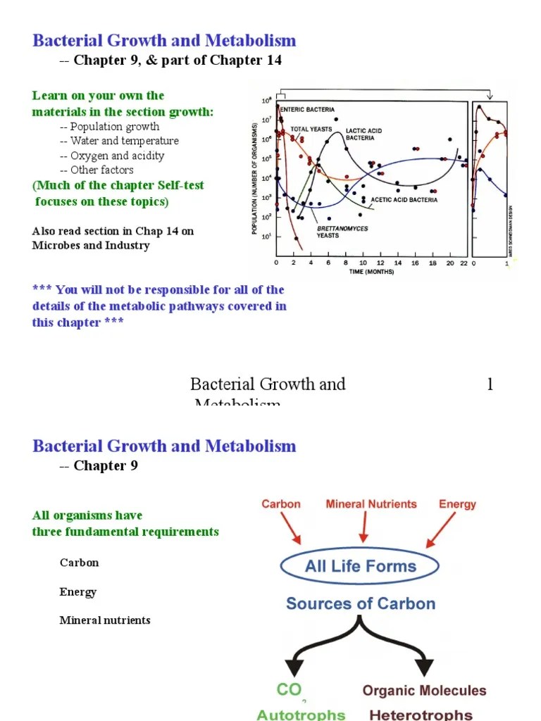 6 Metabolism Bacteria Metabolism