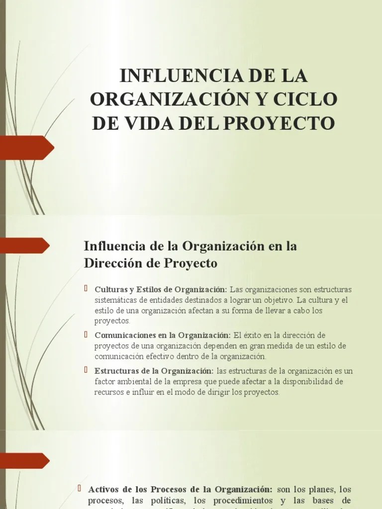Influencia de La Organización y Ciclo de Vida Proceso de desarrollo