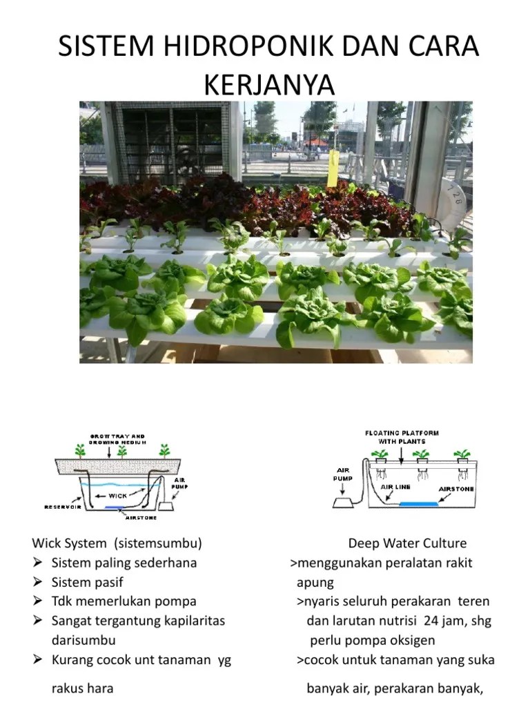 Sistem Fertigasi, PENGATURAN NUTRISI, MODEL Hidroponik, Kul12 | PDF
