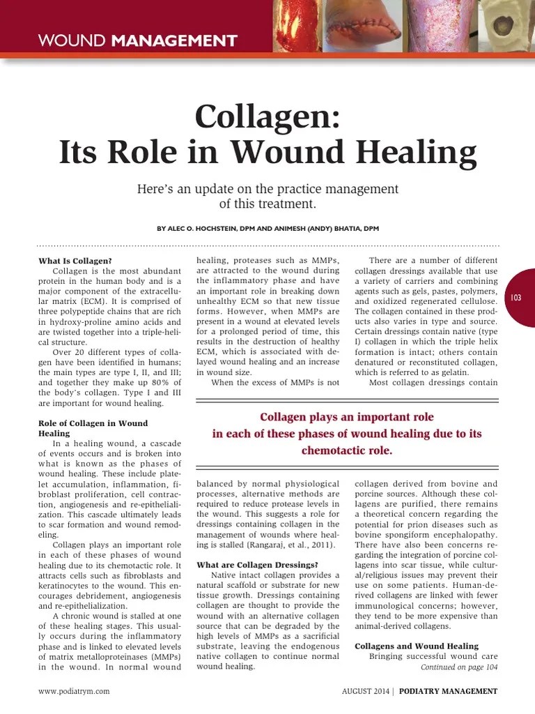 Collagen.pdf Wound Healing Healing