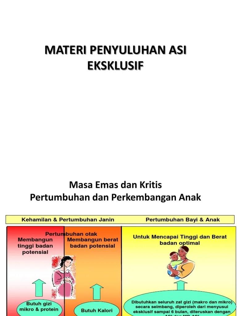 MATERI PENYULUHAN ASI EKSKLUSIF Bok 16