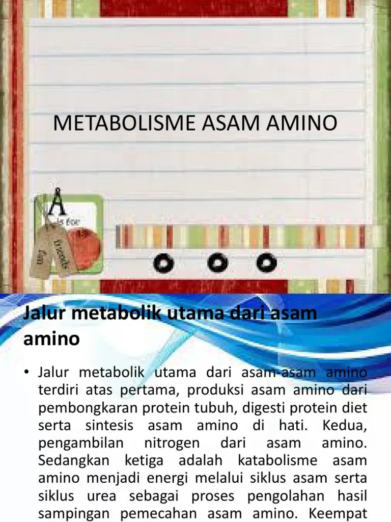 Asam Amino Ppt