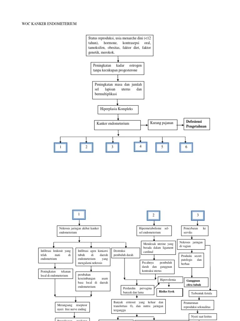 Woc Kanker Endometerium PDF