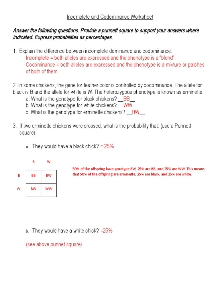answers.doc Dominance