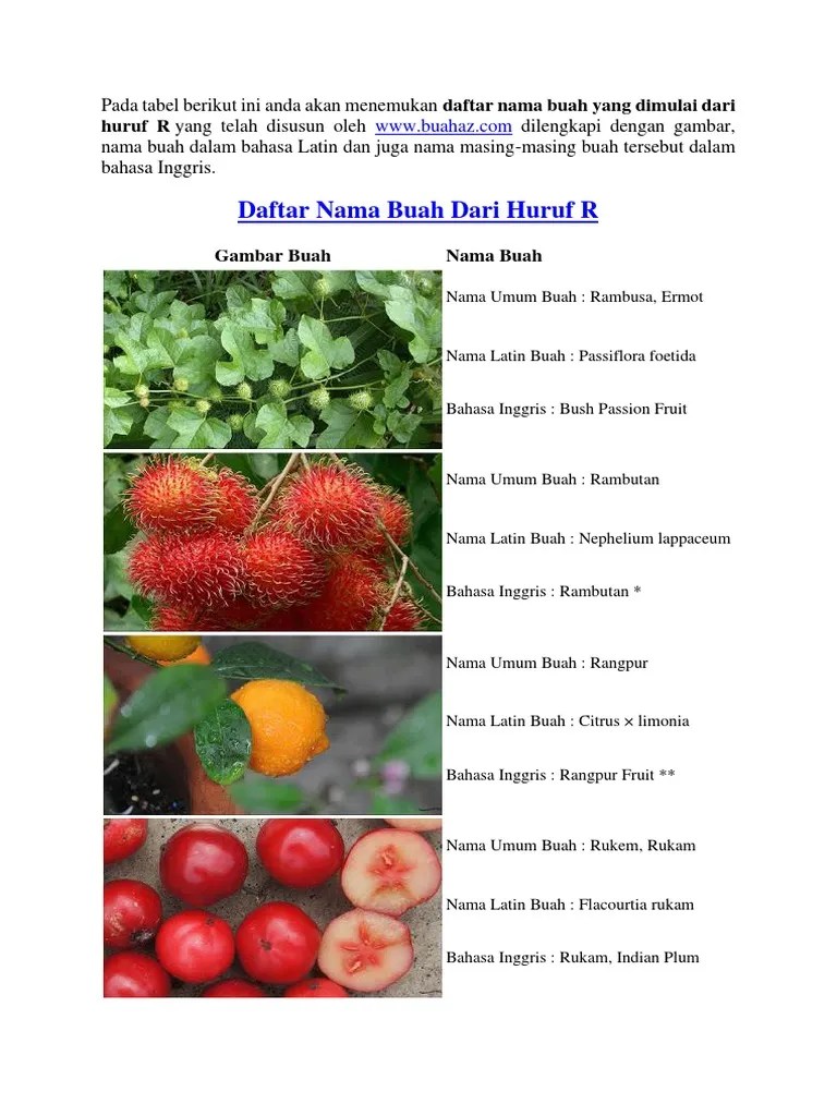 Nama Buah Dari Huruf R | PDF