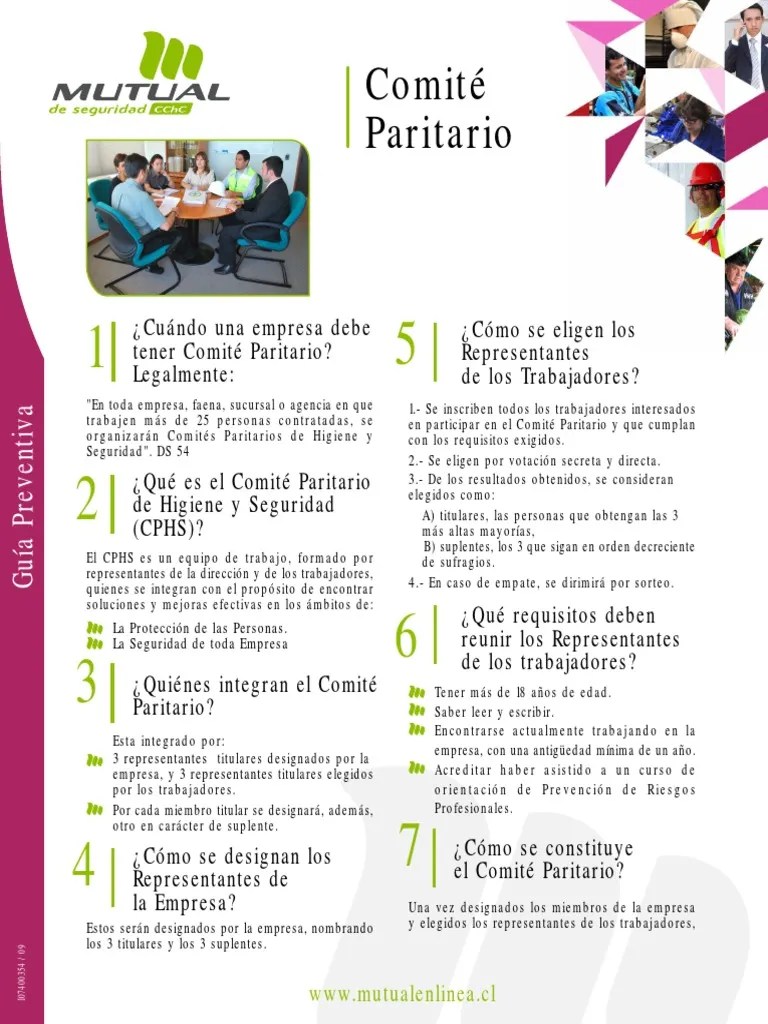 Guía del Comité Paritario de Seguridad PDF Gobierno Cuidado de