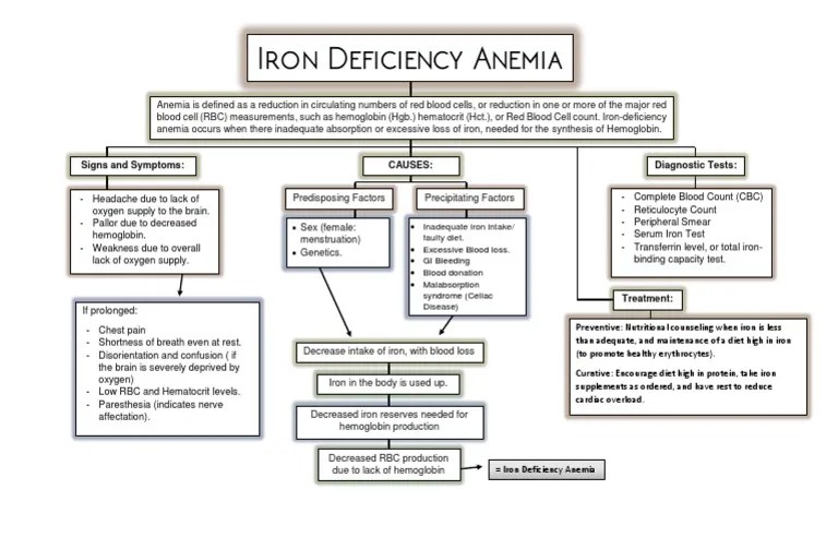 Anemia Concept Map Anemia Red Blood Cell