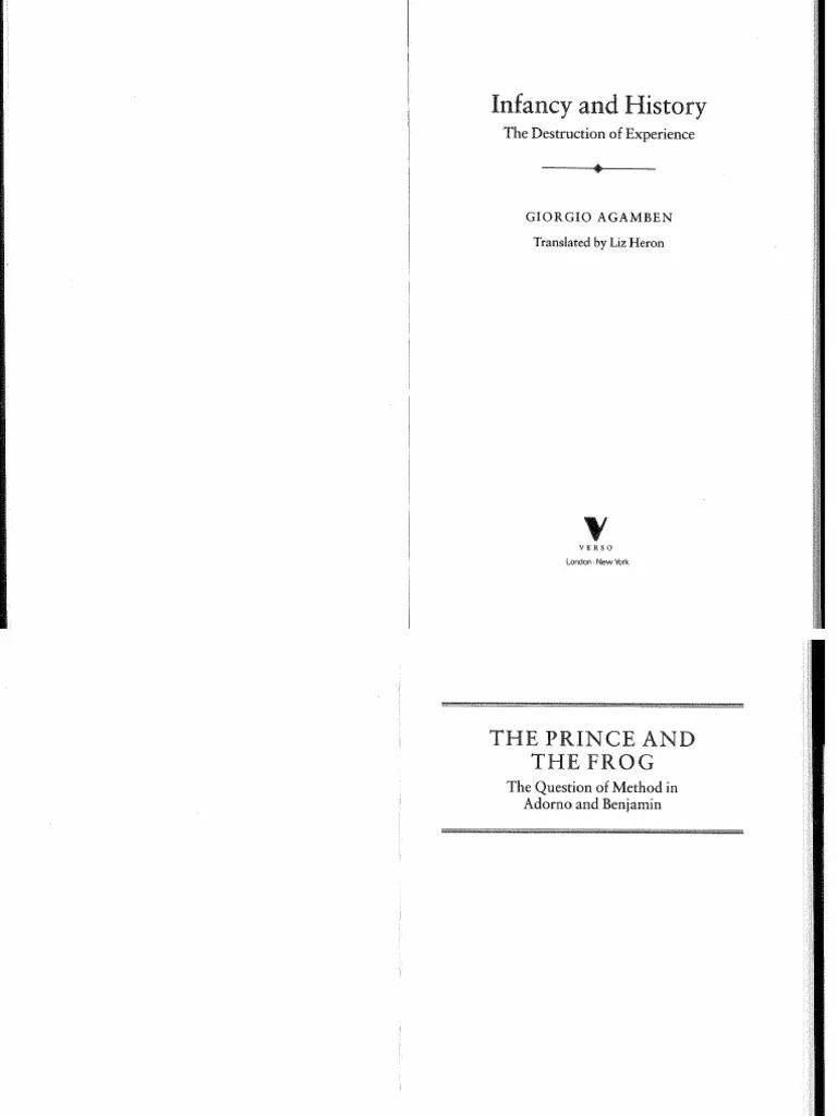 AGAMBEN INFANCY AND HISTORY PDF