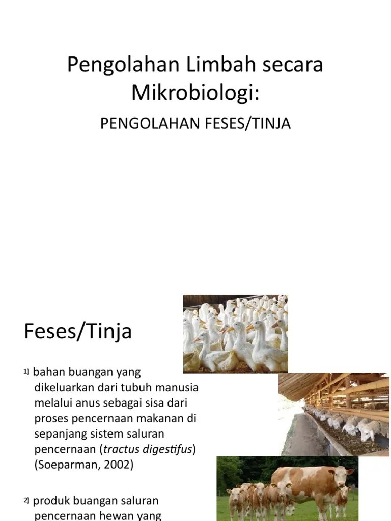 Pengolahan Limbah Feses 2014 | PDF