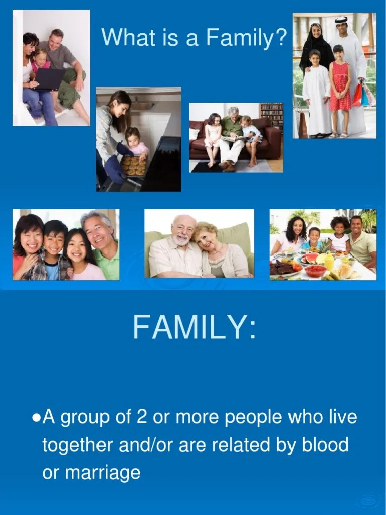 Types of Families Ppt Stepfamily Single Parent