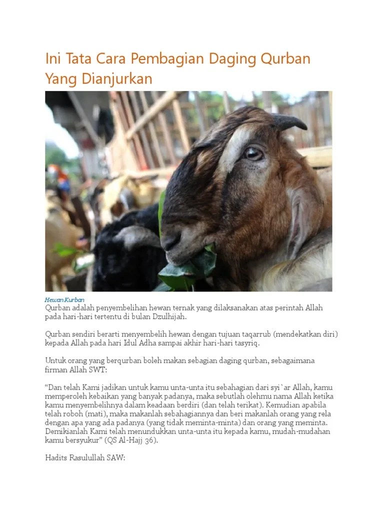 Ini Tata Cara Pembagian Daging Qurban Yang Dianjurkan | PDF