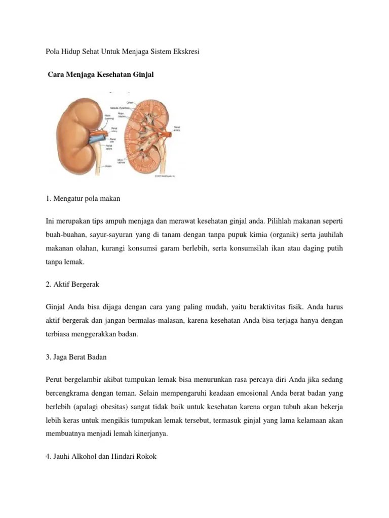 Bagaimana Cara Menjaga Kesehatan Sistem Ekskresi