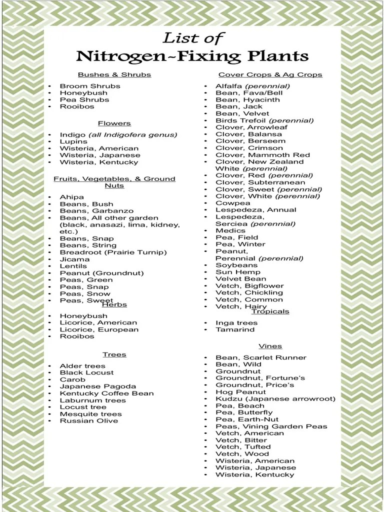 List of Nitrogen Fixing Plants PDF Nitrogen Organisms
