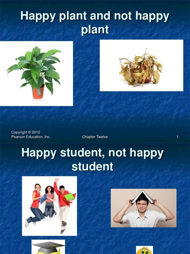 Happy Plant and Not Happy Plant Pearson Education, Inc. Chapter Twelve