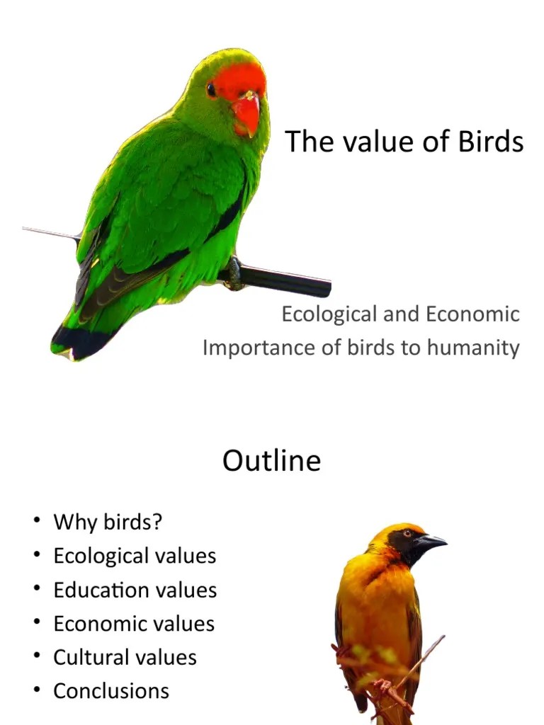 The Value of Birds ecological and economic importance of birds to
