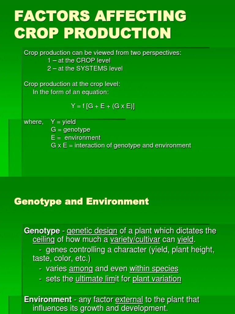 FACTORS AFFECTING CROP PRODUCTION.ppt Rain Soil