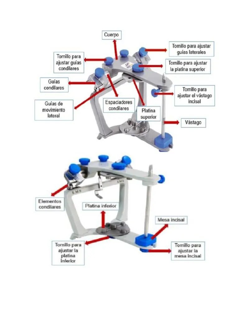Partes Del Articulador PDF