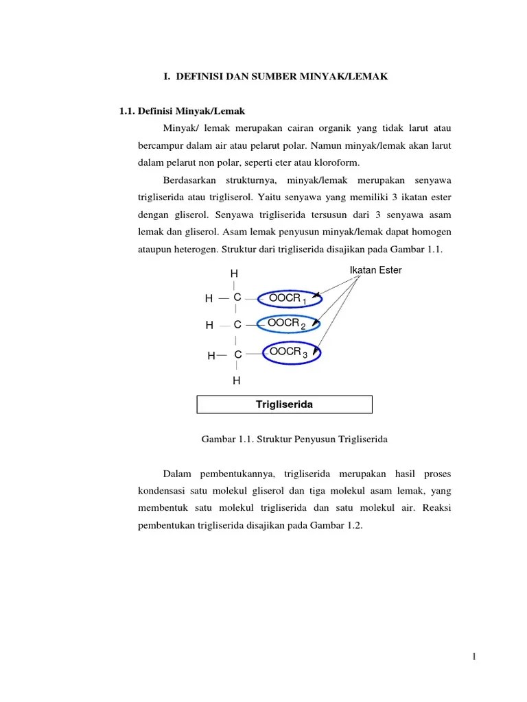 modul_minyak_dan_lemak_301112_.docx