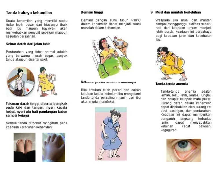 Leaflet Wajib Tanda Bahaya Kehamilan PDF