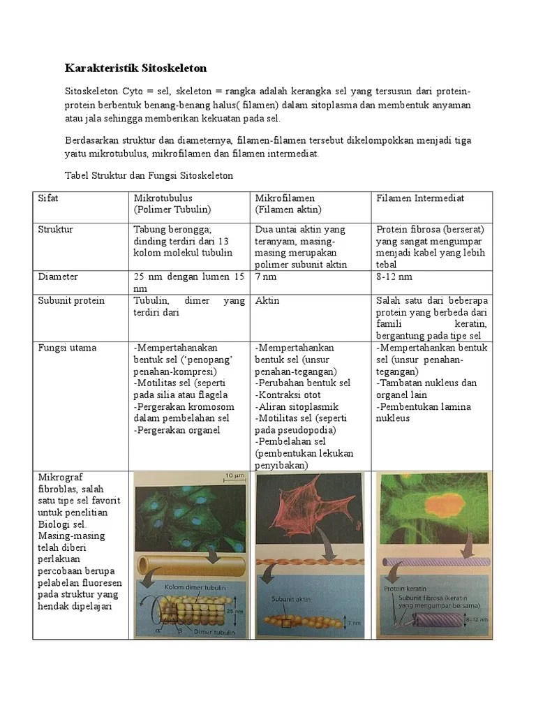 Karakteristik Sitoskeleton | PDF