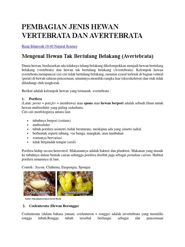 Pembagian Jenis Hewan Vertebrata Dan Avertebrata | PDF
