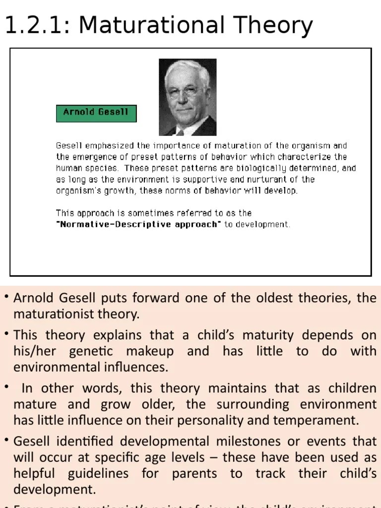 Maturational Theory | PDF