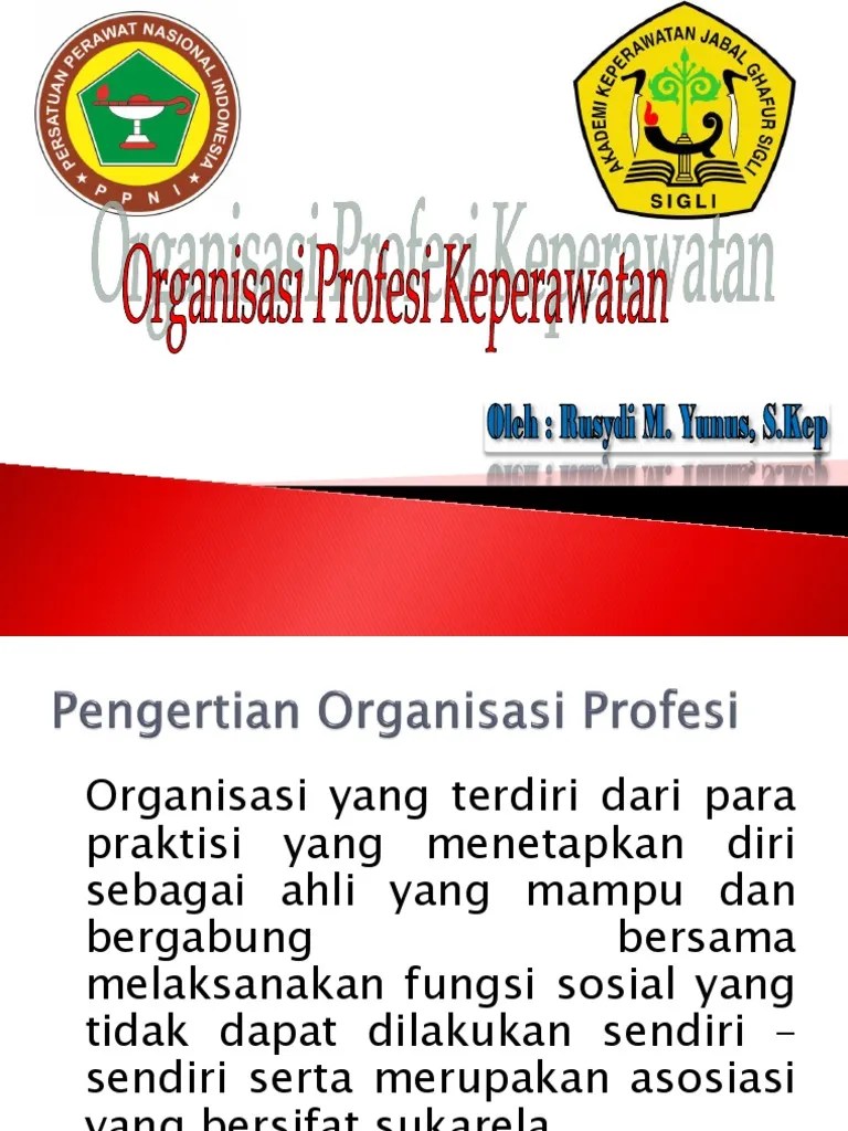 Organisasi Profesi