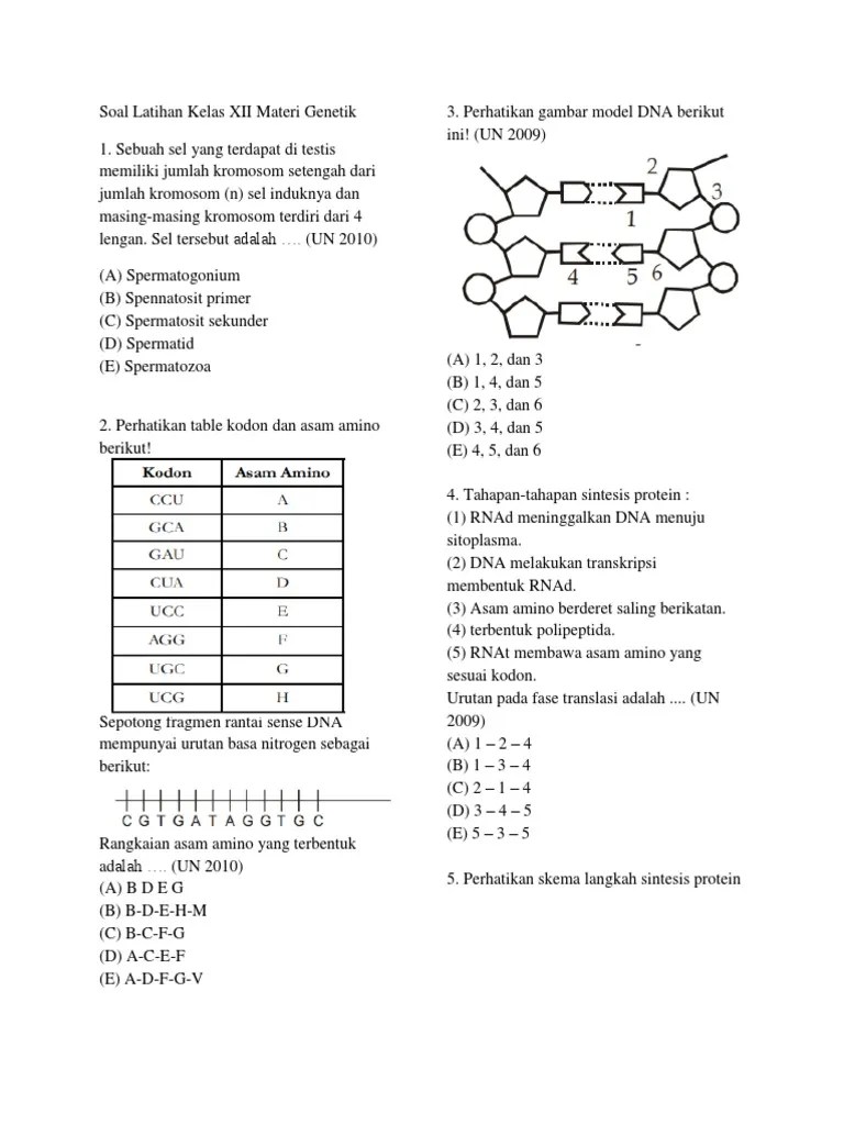 Kumpulan Soal UN Kelas XII BAB Materi