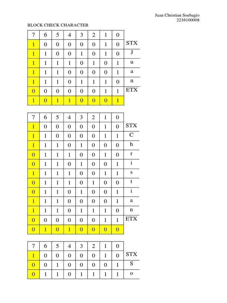 Block Check Character Analysis PDF