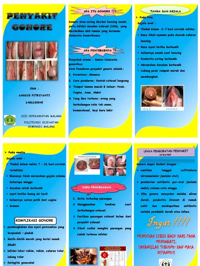 Leaflet Gonore PDF