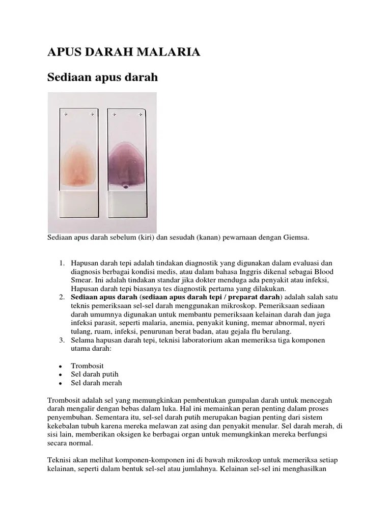 APUS DARAH MALARIA.docx