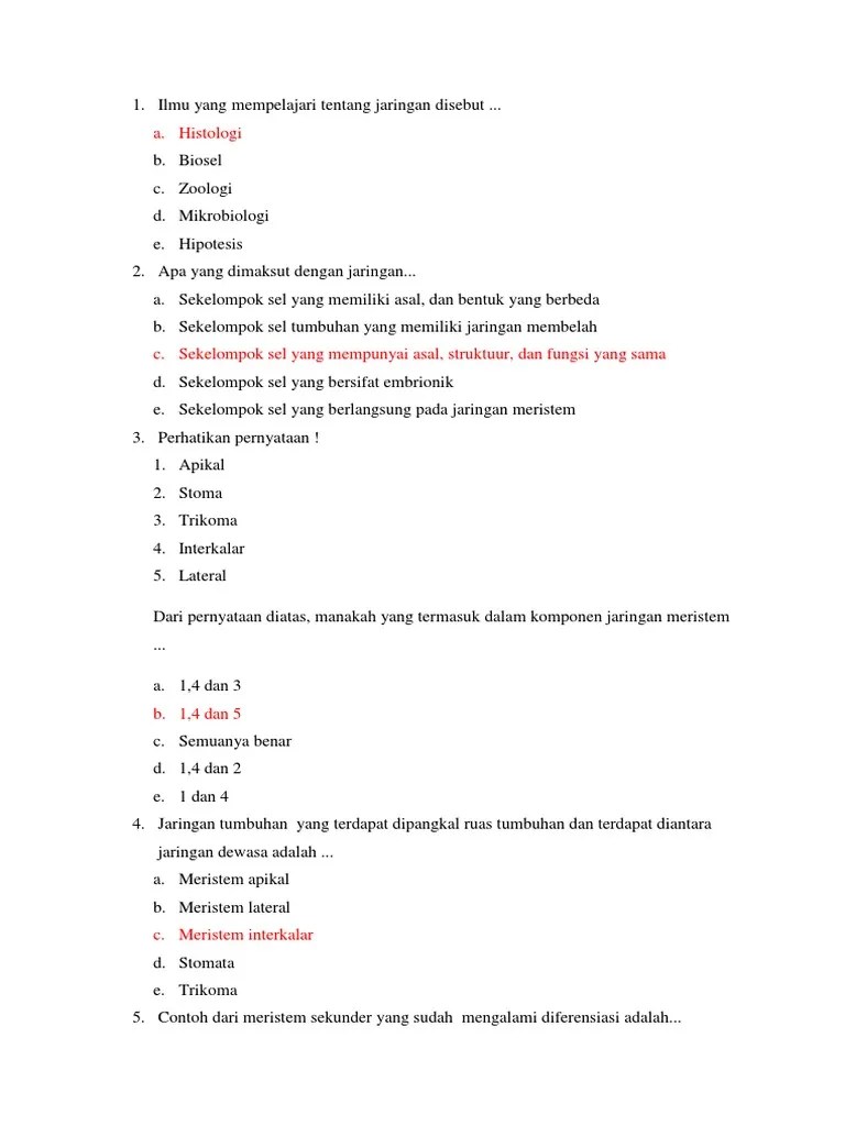 Ilmu Yang Mempelajari Tentang Jaringan Disebut | PDF