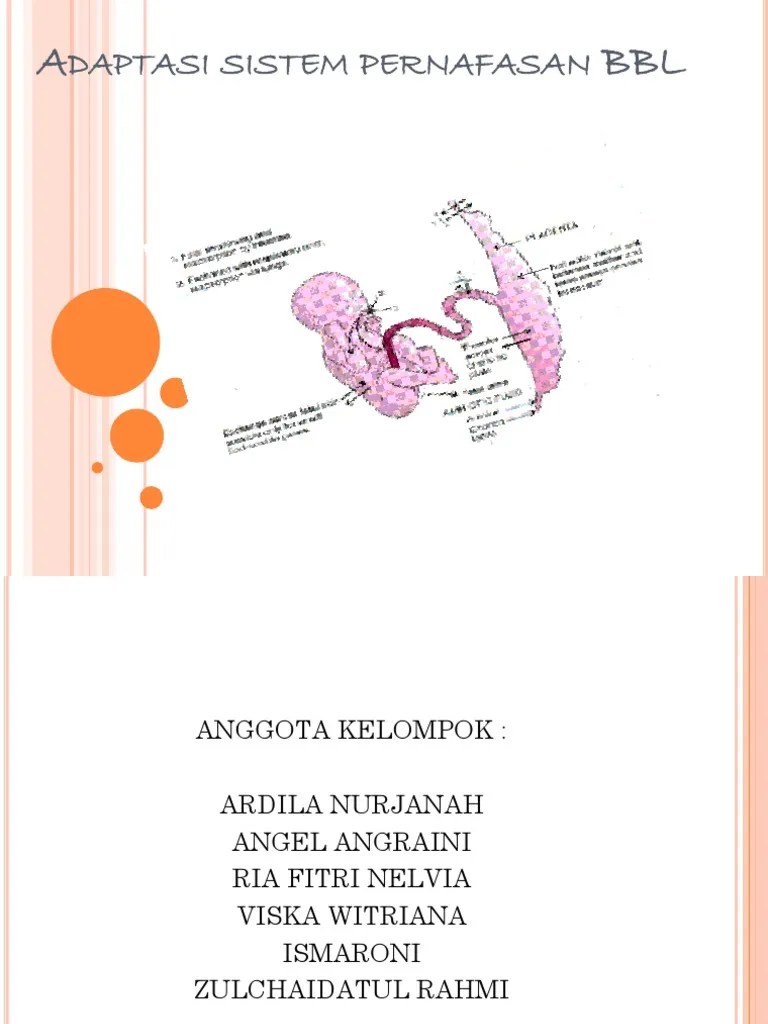 Adaptasi Sistem Pernafasan BBL
