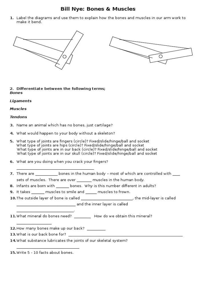 30-bill-nye-bones-and-muscles-worksheet-answers-worksheets-decoomo