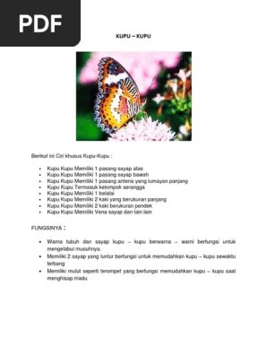 KUPU | PDF