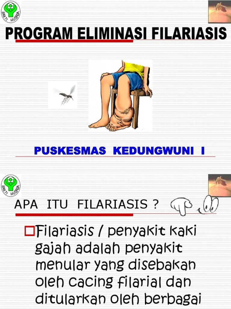 354736920 Materi Filariasis Kaki Gajah Ppt