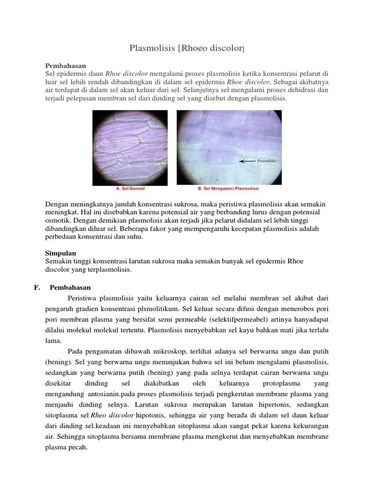 Plasmolisis | PDF